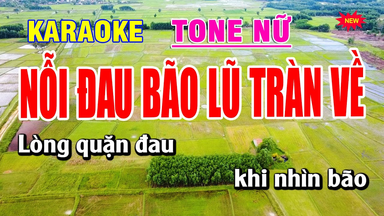 Karaoke Nỗi Đau Bão Lũ Tràn Về Tone Nữ | Duy Sơn New