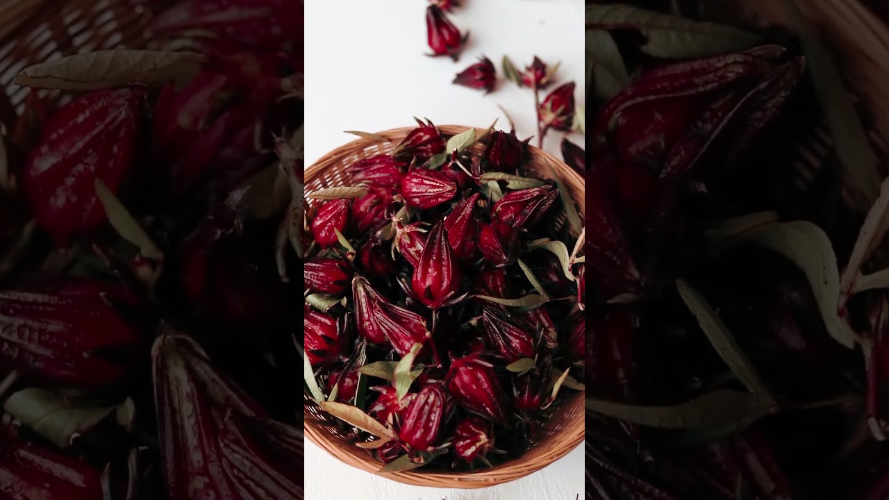 Growing Your Own Supply of Hibiscus Tea