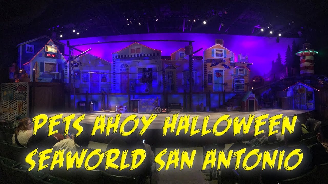 Pets Ahoy Halloween | Sea World San Antonio
