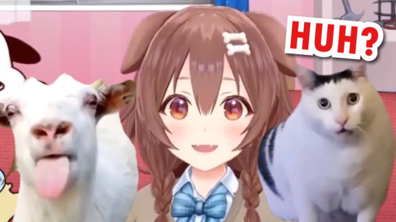 Huh?