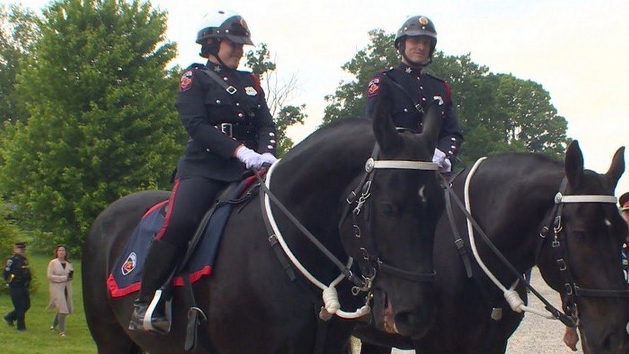 Hamilton Mounted Police welcome new horses, riders to force