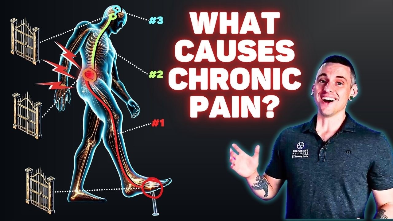 The Real ROOT CAUSE of Chronic Back Pain (pt.1) - What Is Pain?