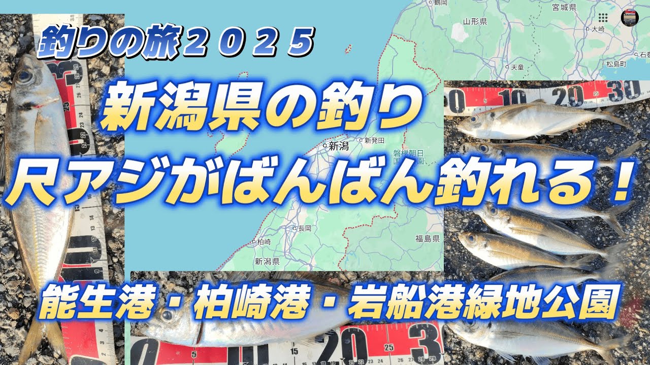 新潟県の釣り２０２５・尺アジがばんばん釣れる・能生港、柏崎港、岩船緑地公園「キャンピングカー生活で日本全国釣りの旅」