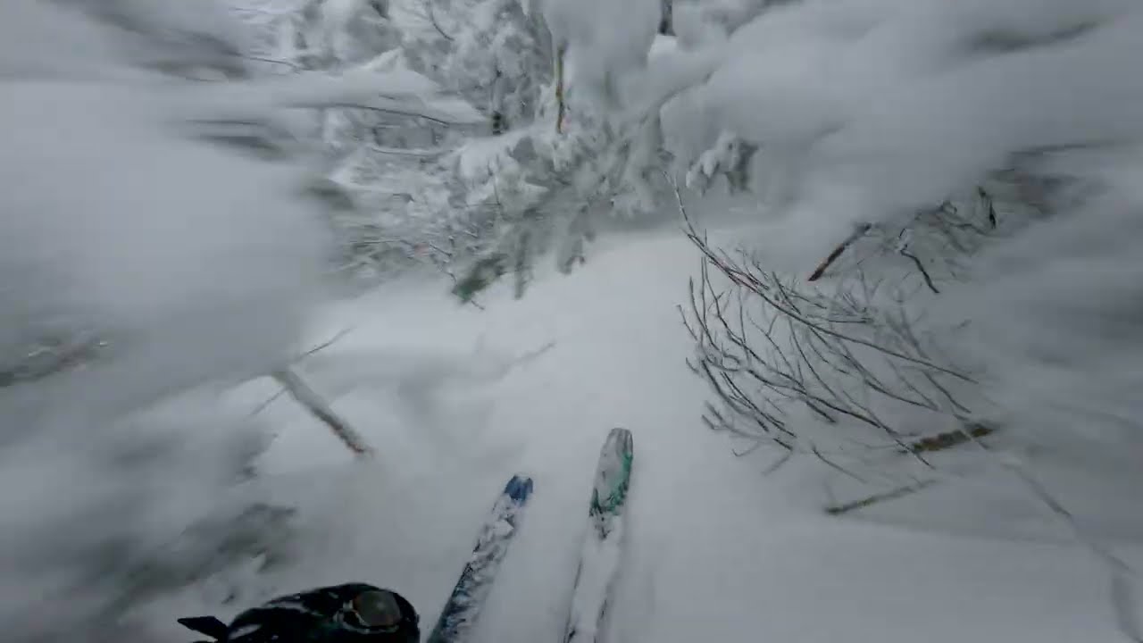 Fresh Powder & Deep Glades | Mont Sutton POV Skiing