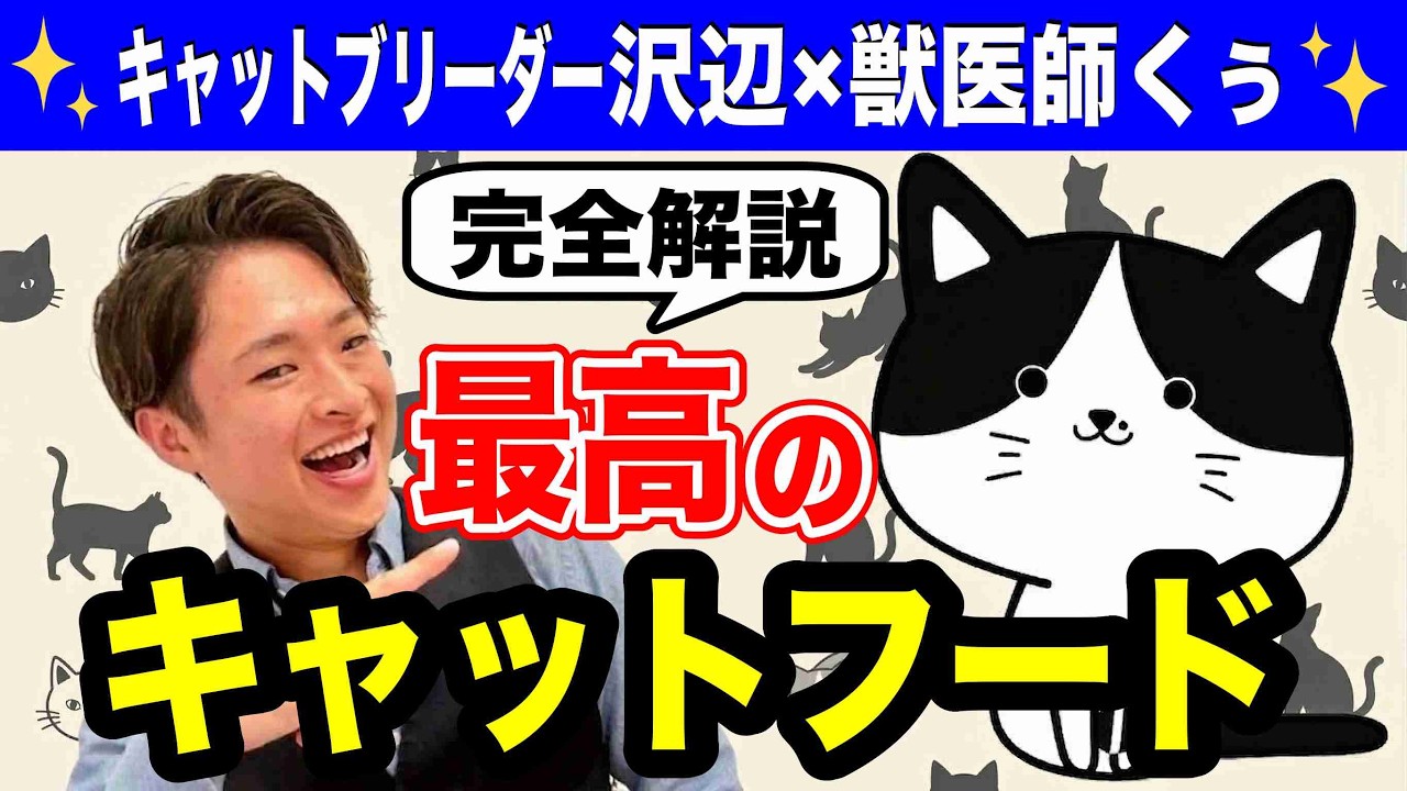 これが最高のキャットフードの見極め方です【キャットブリーダー沢辺さんとのコラボトークショー＠東京ソラマチ2026年2月23日】