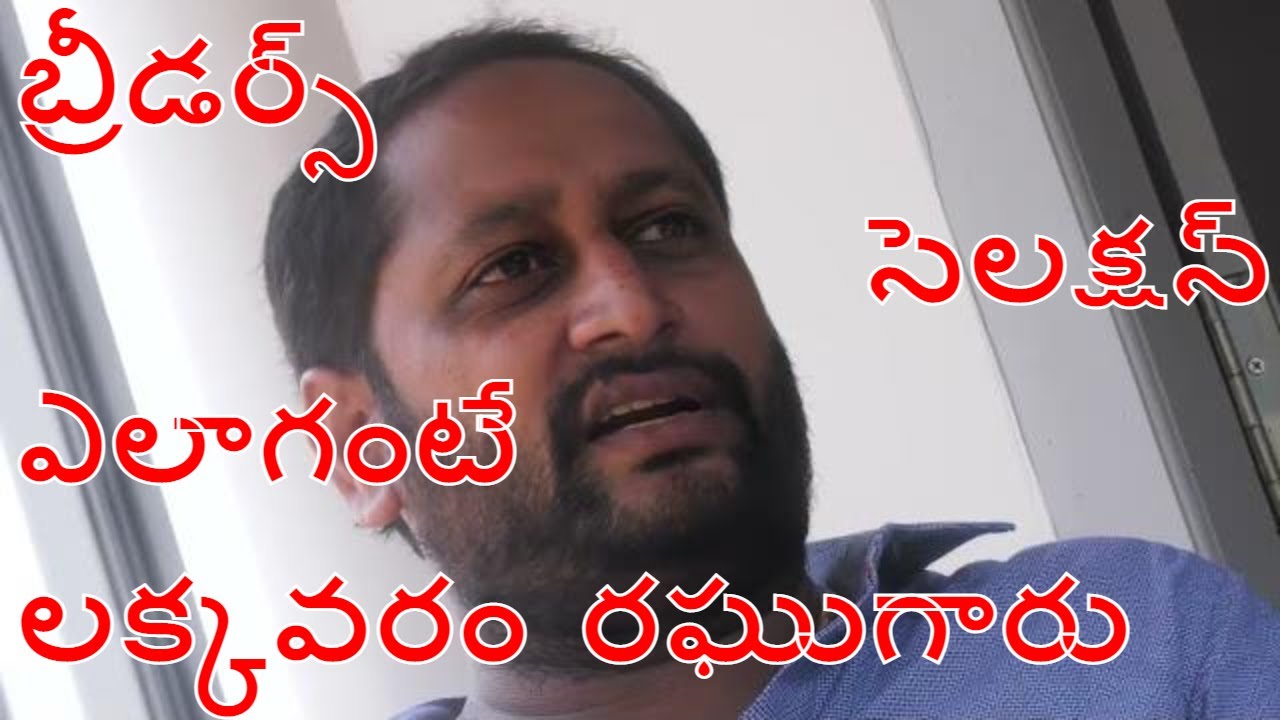 Breeders Edition- Part 1 ll పందెంకోళ్ళ   ఉత్పత్తి ఇలా చేయాలి  ll RRR Farms    ll  Varma Book