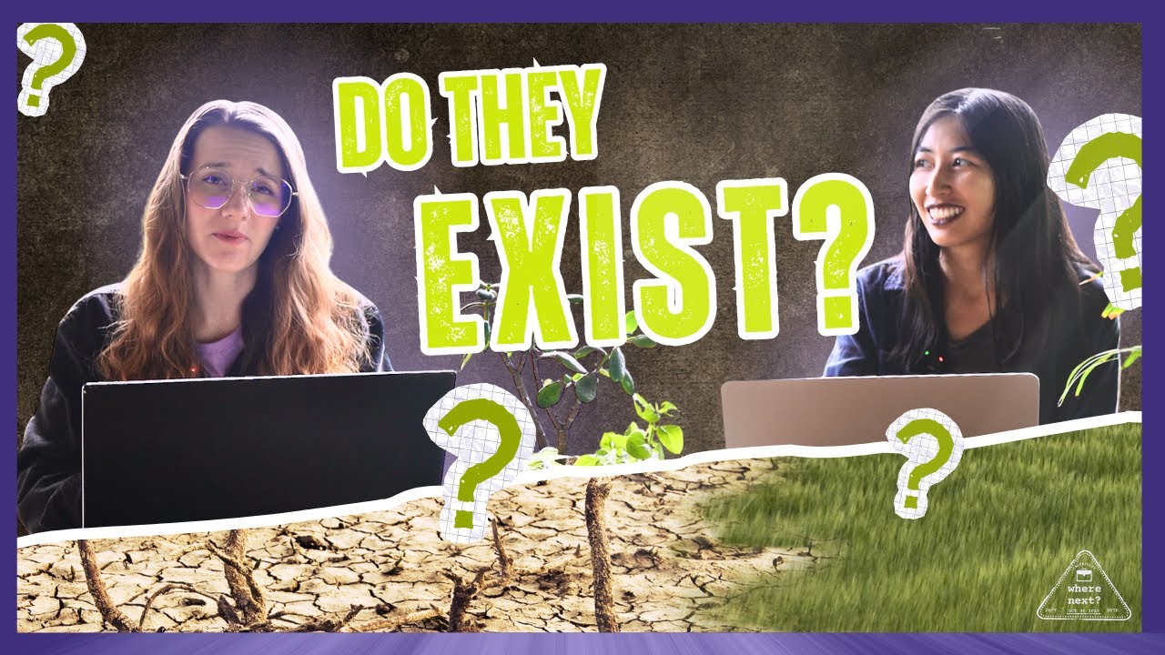 What is a Climate Haven? (The Harsh Truth)