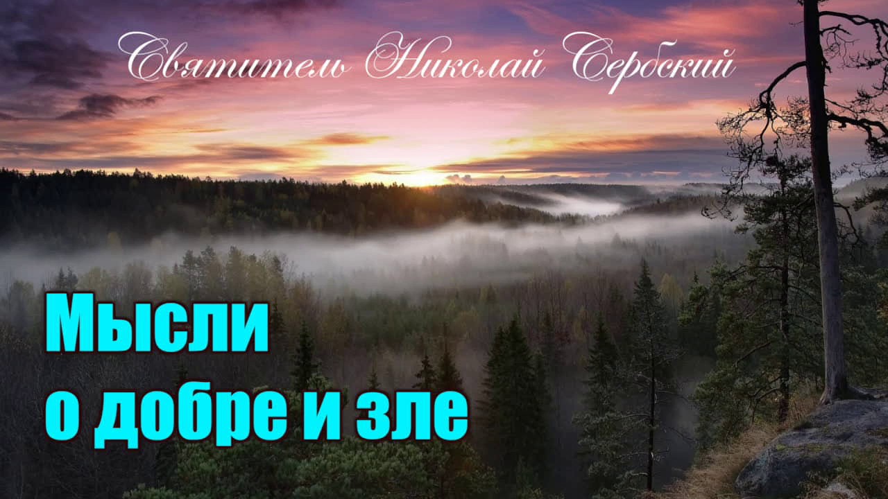 Мысли о добре и зле. Святитель Николай Сербский. Святой XX века.