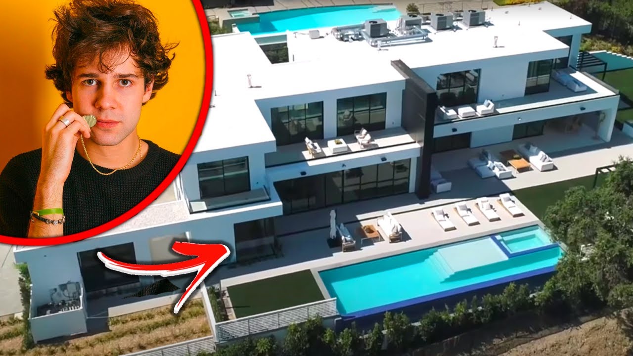 Inside Look At David Dobrik's LA Mansion