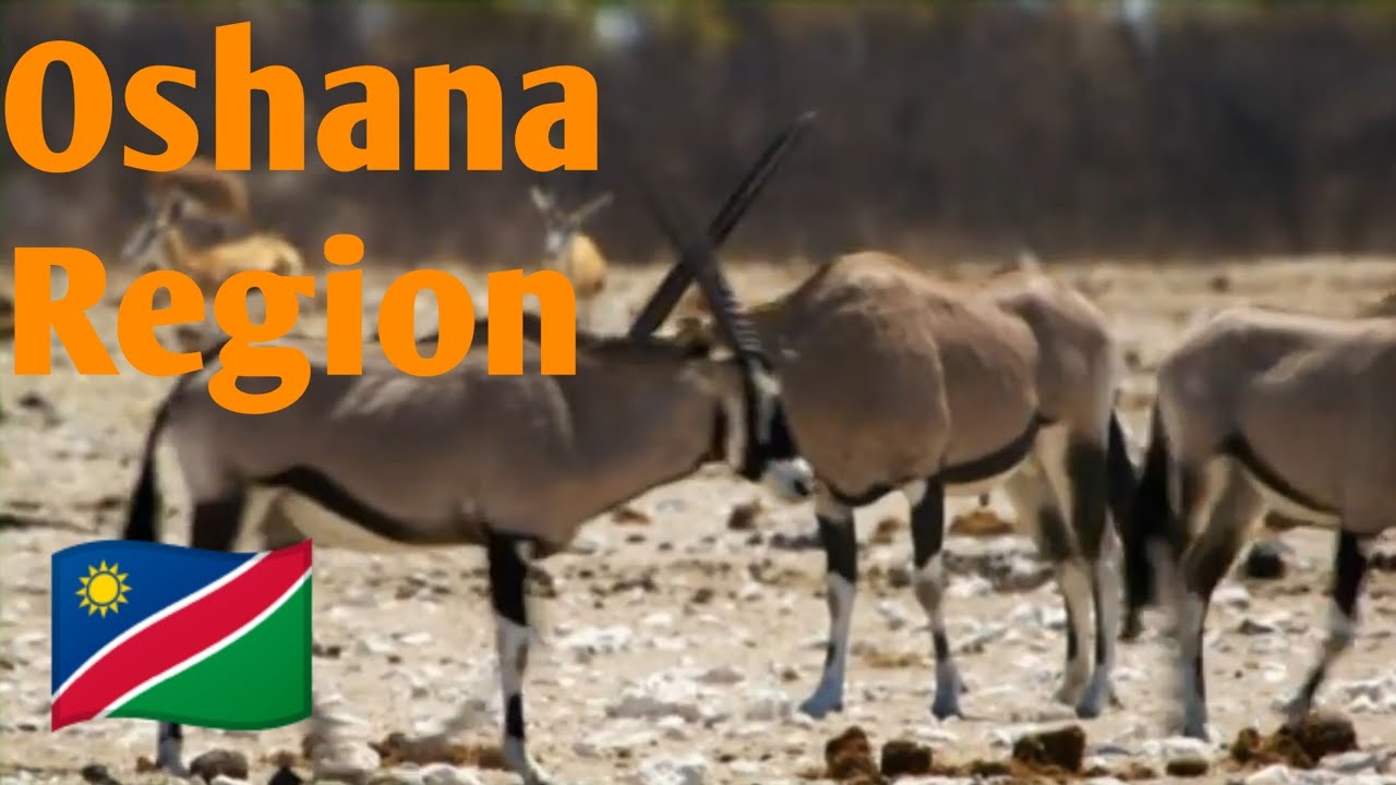 Namibia Tourism 5 - Oshana Region