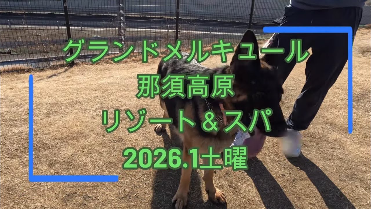 栃木県　グランドメルキュール那須高原リゾート＆スパ2026.1土曜　驚きのコスパ！！