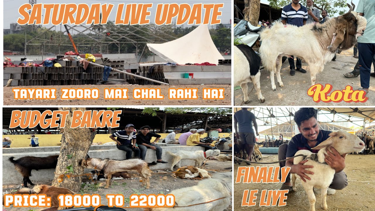 Deonar Bakra Mandi Saturday Live Update | New family member in the house | 18th May 2024