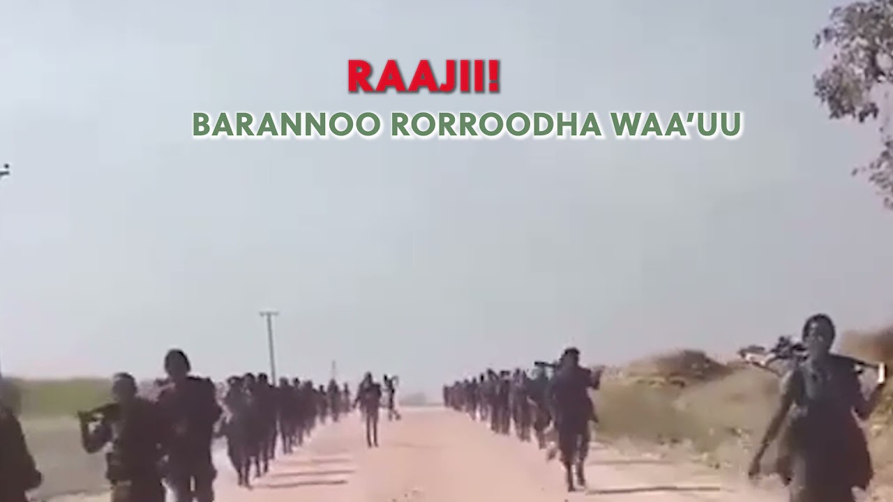 Dagim Mekonen - BARANEEDHA | WBO Oromo Music *NEW VIDEO 2021*