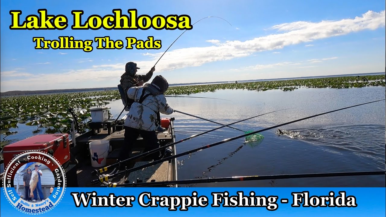 Winter Crappie Fishing - Shallow Trolling the Pads