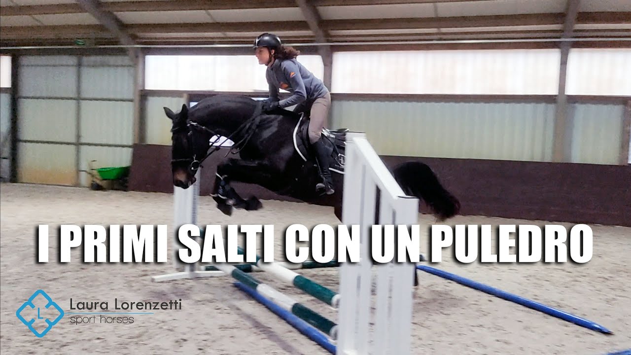 I primi salti con un puledro - Laura Lorenzetti