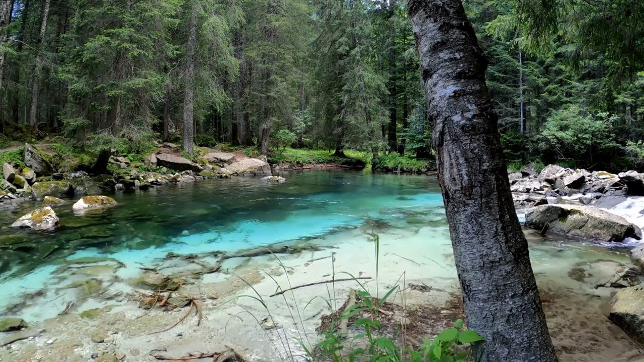 Peaceful Piano Music with Forest River and Bird Sounds | Soothing Music | Calming | Beautiful Mind