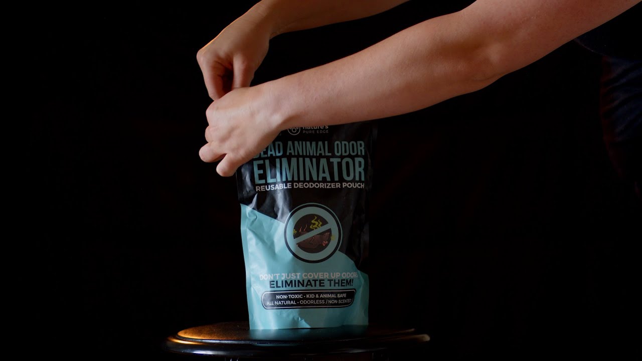 Dead Animal Odor Remover by Nature's Pure Edge