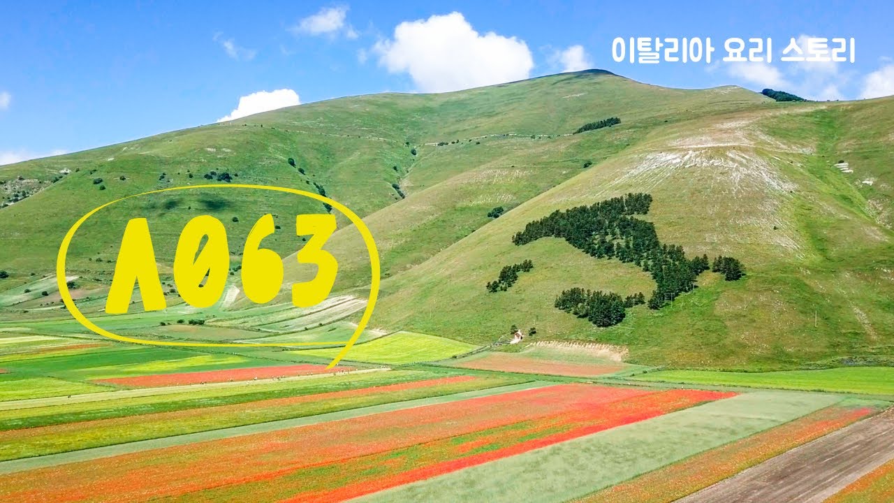 신석기 시대 식재료로 요리하기 ㅋ A063 카스텔루쵸