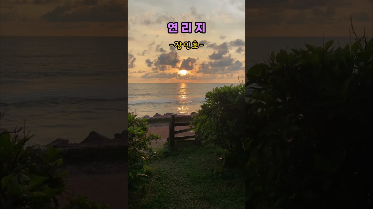 장민호 - 연리지(連理枝) #음악감상 #감성 #드라마