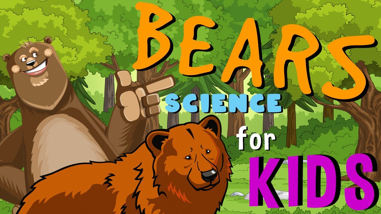 Bears | Science for Kids
