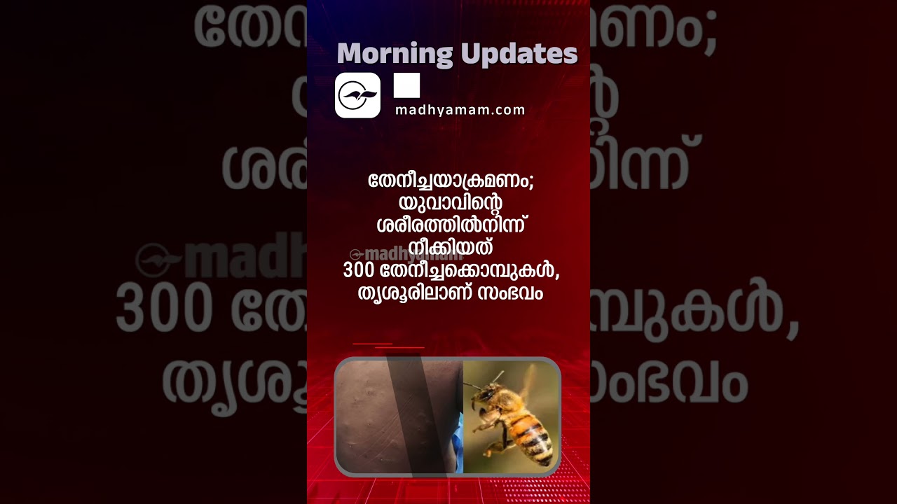 Morning Updates | One Minute News | Dec 13 2025| Madhyamam |