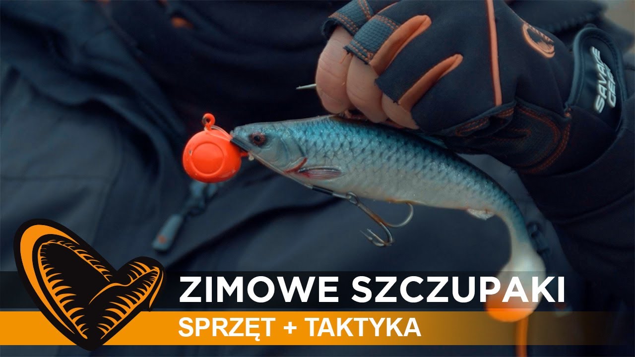 ❓ jak, z czym i co? czyli 🎣 zimowe #szczupak-i ➜ sprzęt oraz taktyka // #SavageGear