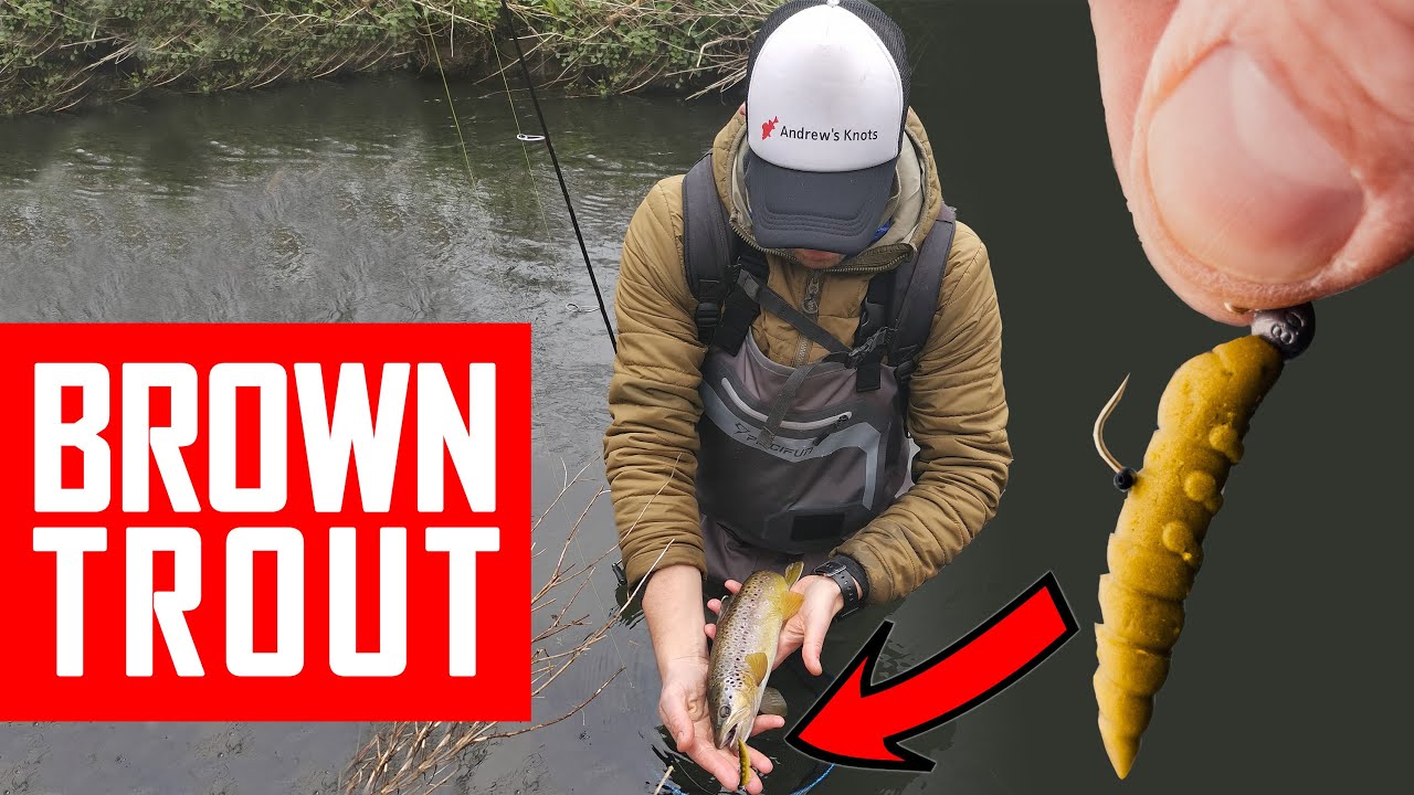 Trout fishing season opened. Lure fishing in a tiny river using BFS setup