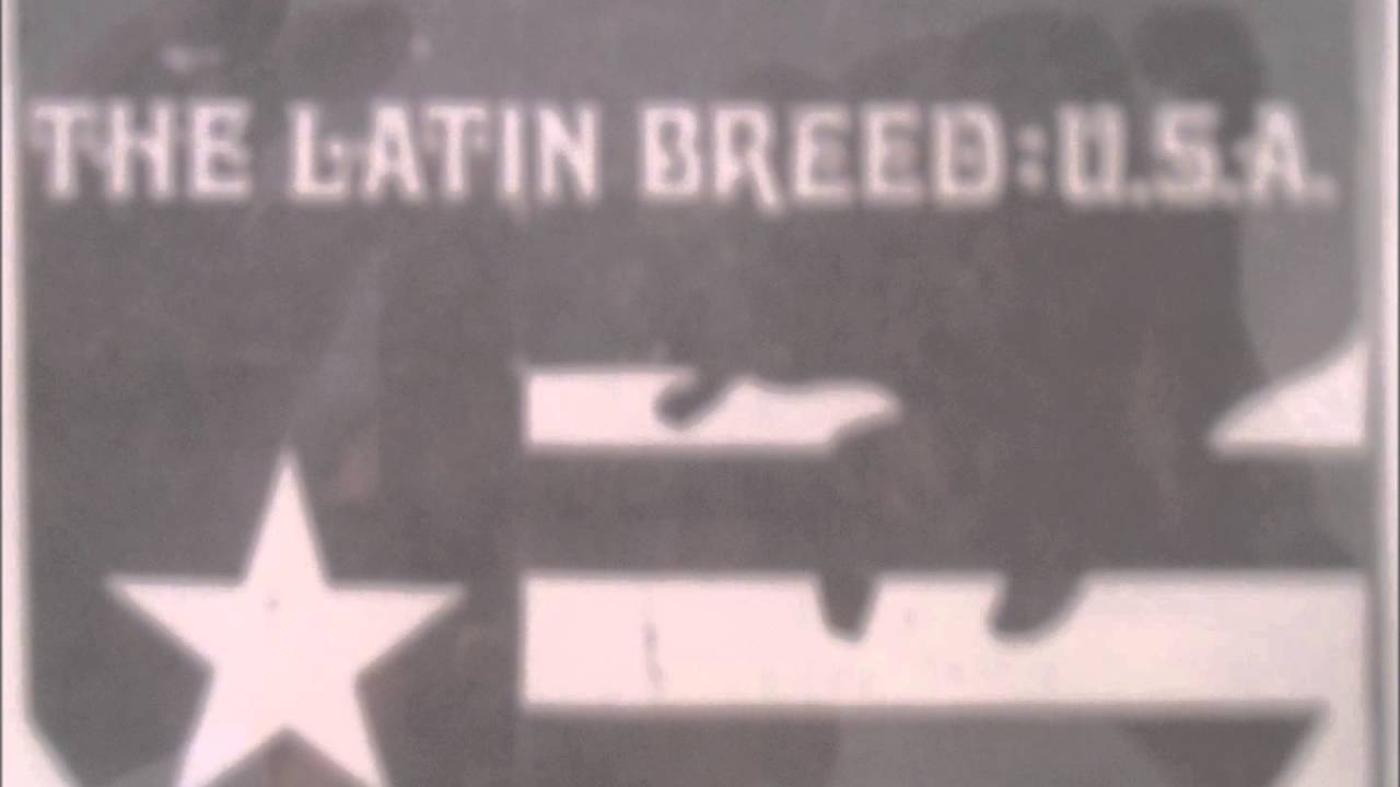 The Latin Breed   USA