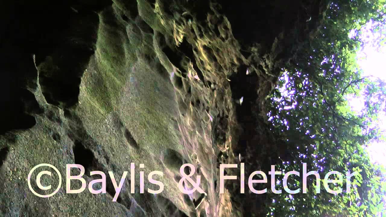 Bats return, Gomantong cave, Malaysia. 20120511_055441.m2ts