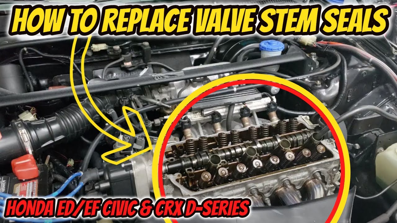 ||HONDA EF/ED 88-91 CIVIC/CRX|| How to Replace Valve Stem Seals on CIVIC/CRX D-Series🔥(D16, D15)👍