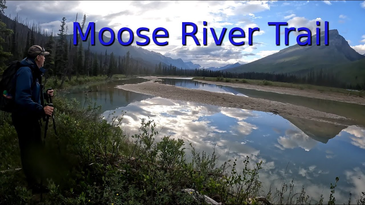 Moose River Trail recon in Northern BC | Mt Robson Provincial Park
