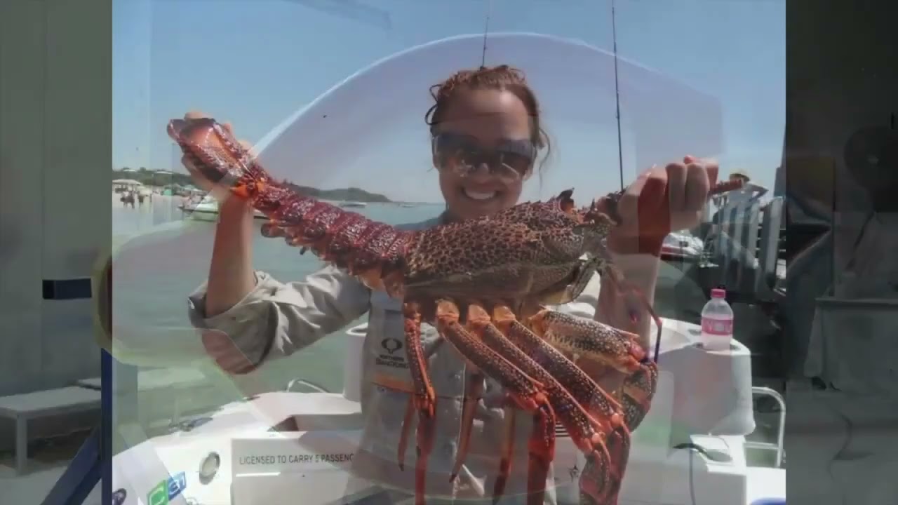 Southern Formula for New Year 2023!