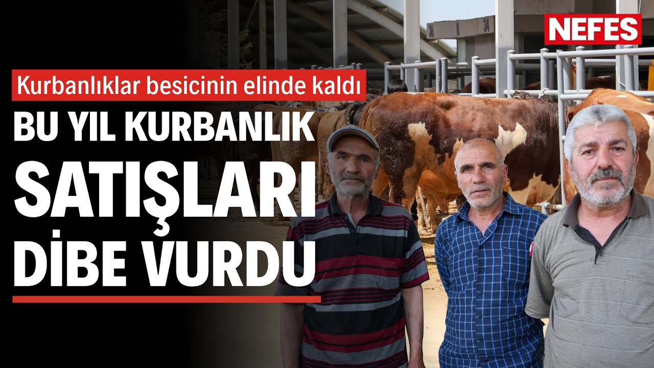 Kurban pazarı boş, besici umutsuz: “Sürünüyoruz”
