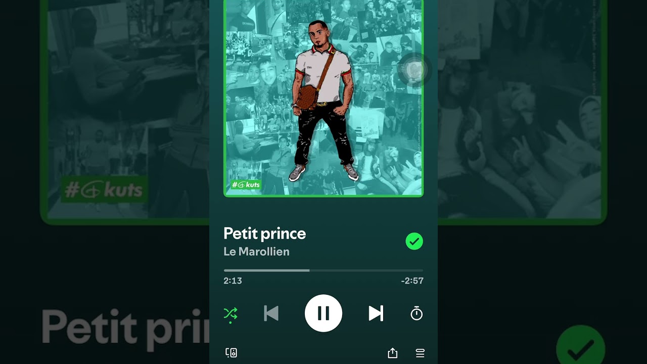 Petit prince le marolles 