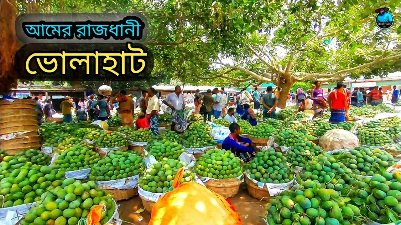 🇧🇩 আমের রাজধানী ভোলাহাট,চাঁপাইনবাবগঞ্জ || আম ফাউন্ডেশন  ||  Bholahat Mango Market