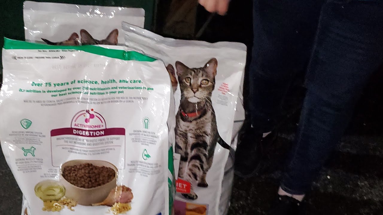 ♻️DUMPSTER DIVING♻️ WOW 😱😱DIOS NOS  PERMITIO RESCATAR ESA COMIDA PARA MIS GATITOS😱