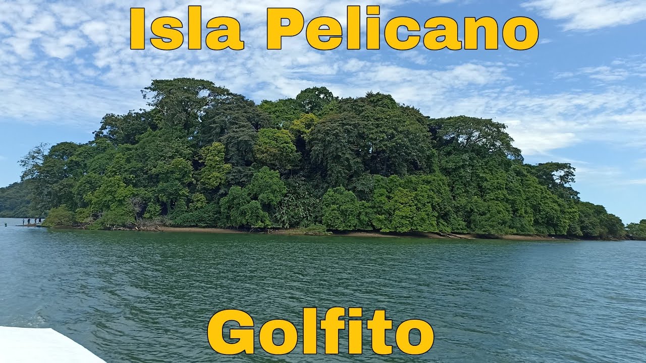 Golfito, isla pelícano poco conocida por muchos