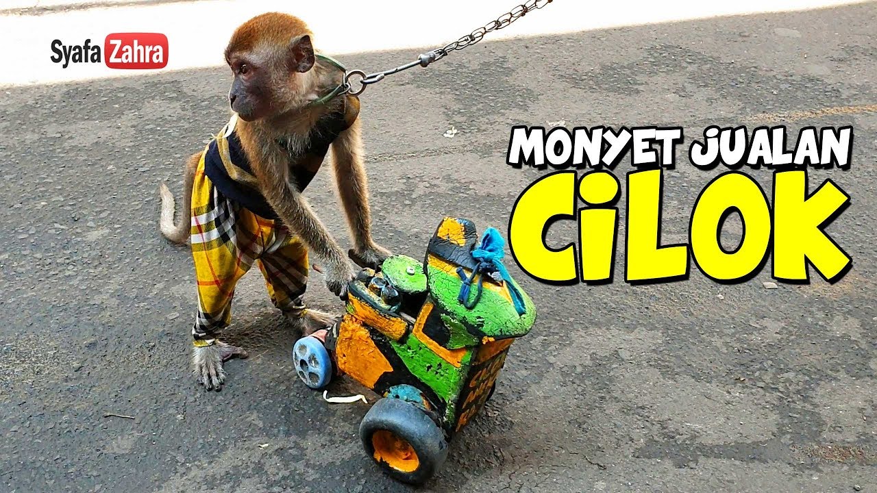 LUCU Topeng Monyet Jualan Cilok - Funny Monkey