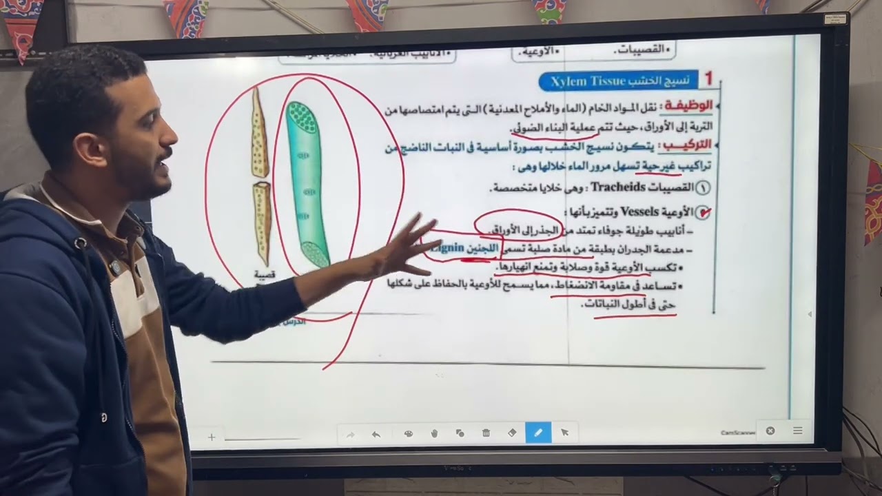 النقل فى النبات اول ثانوى الدرس التانى 