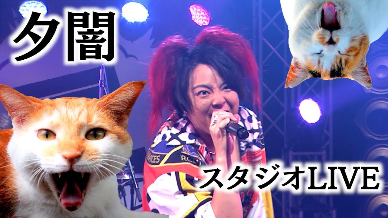【夕闇に誘いし漆黒の天使達】「猫サンキュー」「Super Ultimate Happy Happy Song」