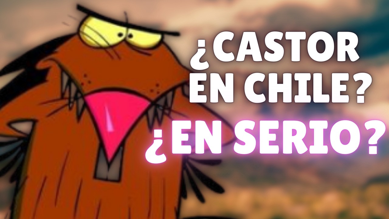 ¿Como Llegó a Chile El Castor? | Los Castores En Tierra Del Fuego