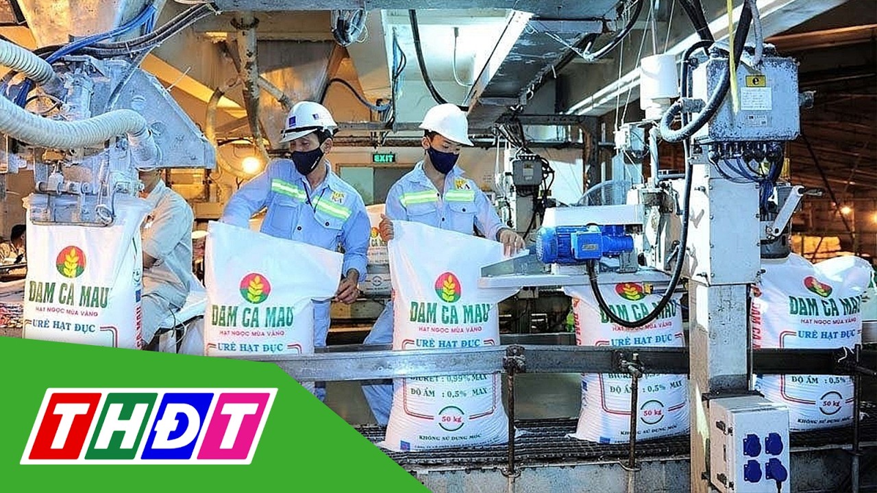 Sau xăng, dầu đến nguy cơ tăng giá phân bón | THDT