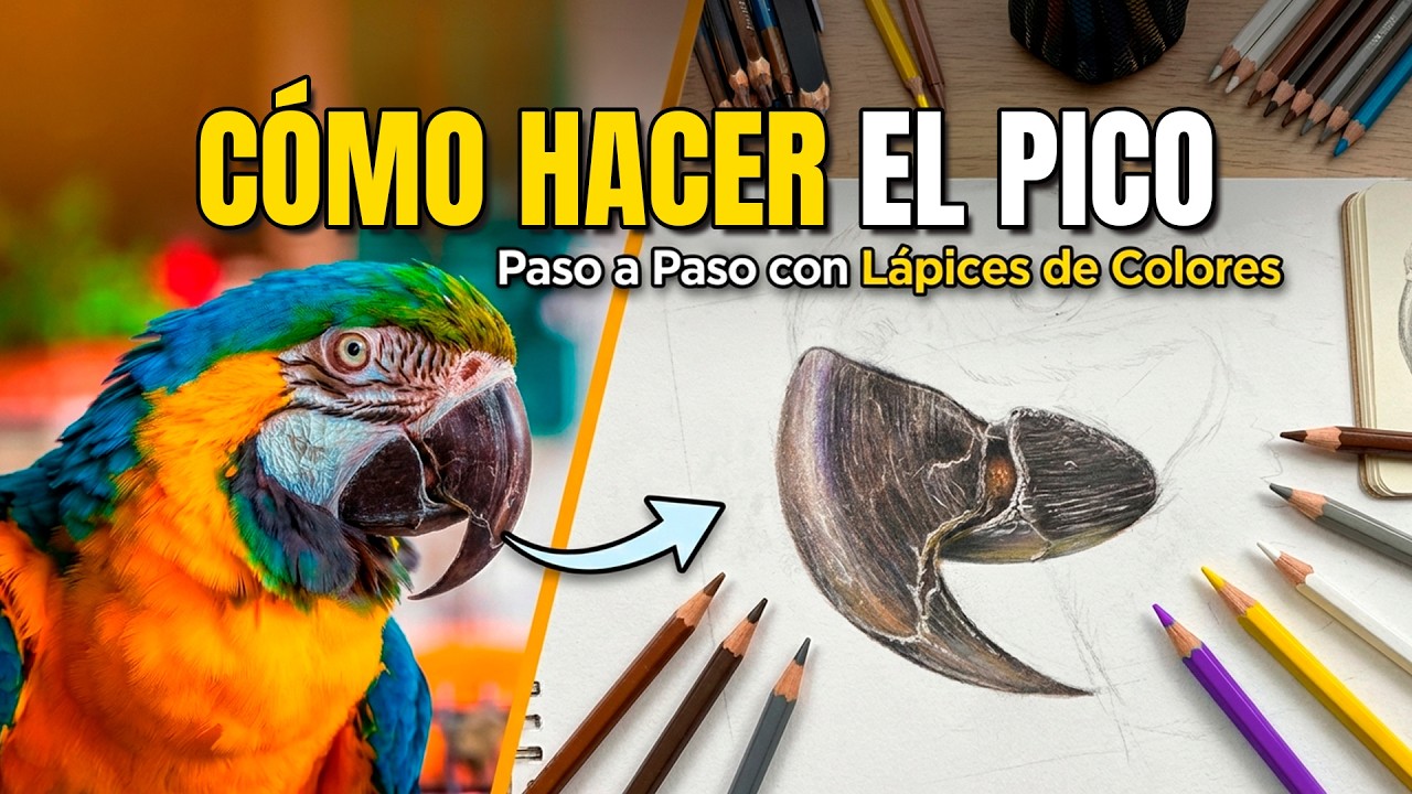 Papagayo HIPERREALISTA con lápices de colores | EL PICO | Soy Danny