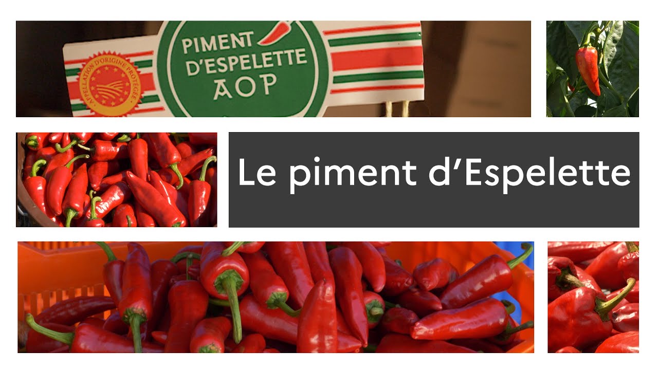 Un produit, un territoire : le piment d'Espelette