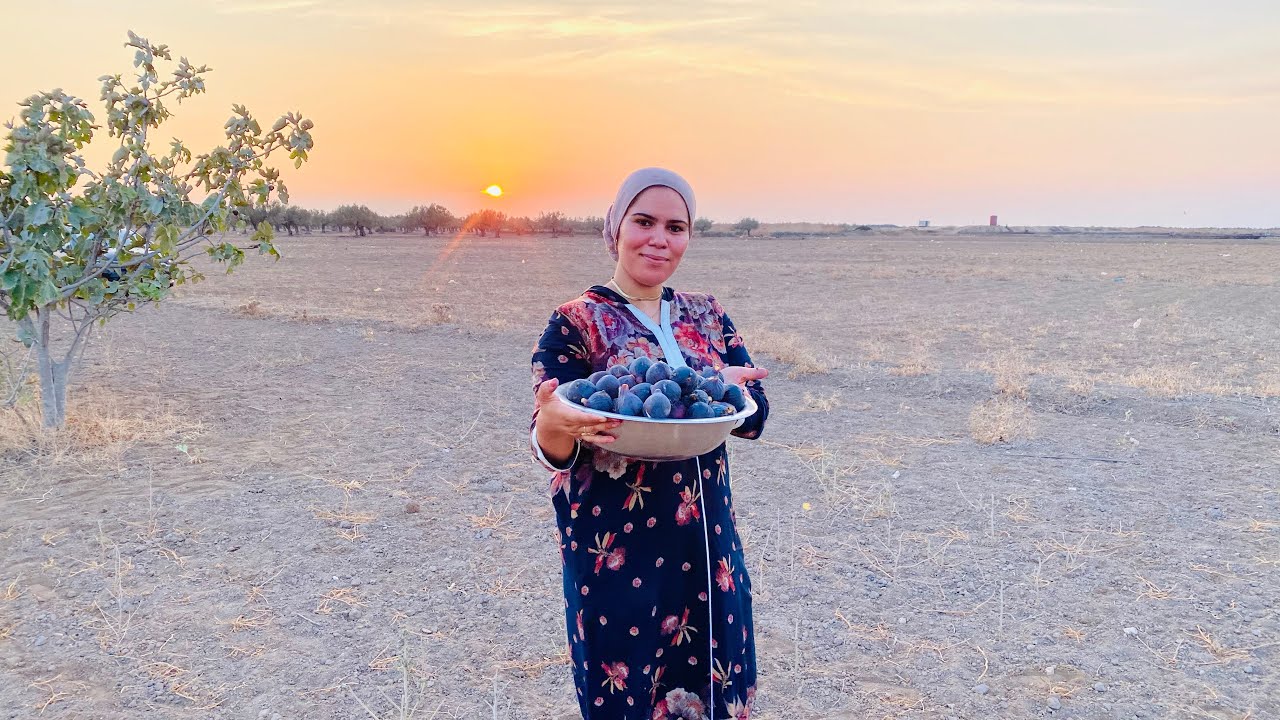 جولة في الطبيعة 💖 هزيتكم معايا للجنان 🌞🇹🇳 وريتكم خيرات بلادنا 🫶 اجواء جميلة مع العايلة 👇#vlog