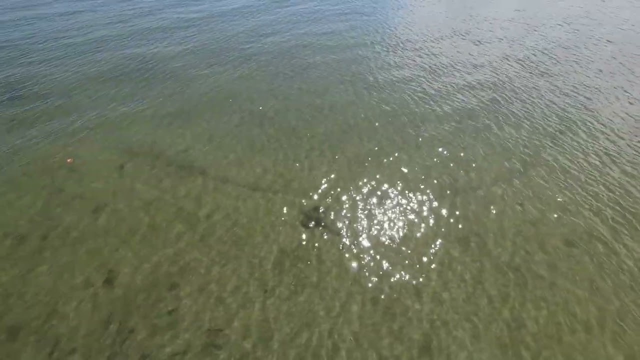 FPV