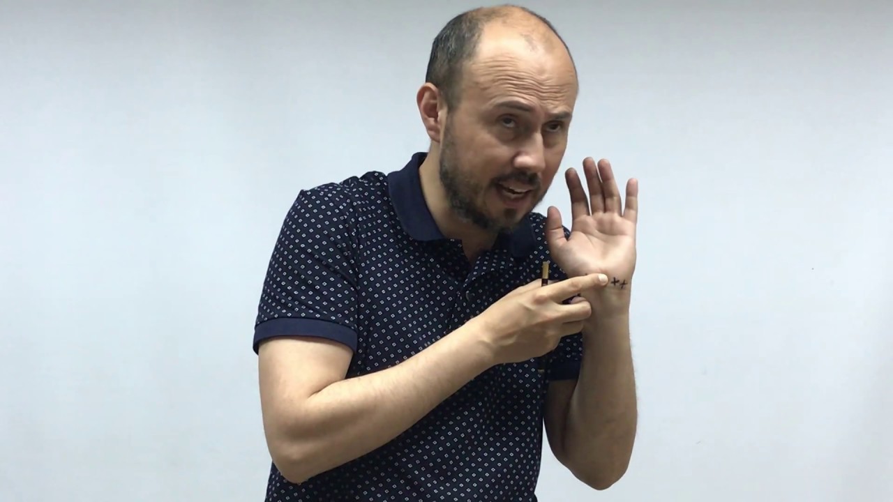 ANATOM&Iacute;A PALPATORIA REPAROS &Oacute;SEOS DE MANO.