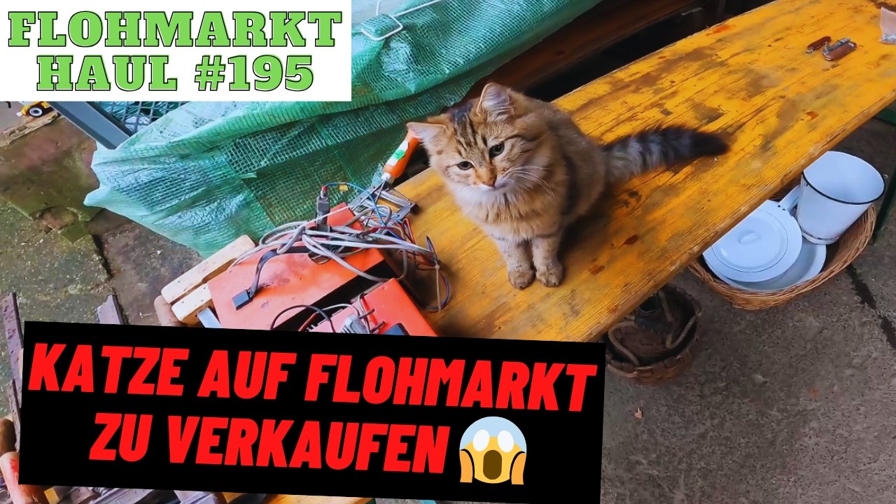 GAMEBOY BUNDLE für nur 10 EURO ?! Hof und Garagen FLOHMARKT ESKALIERT mal wieder...