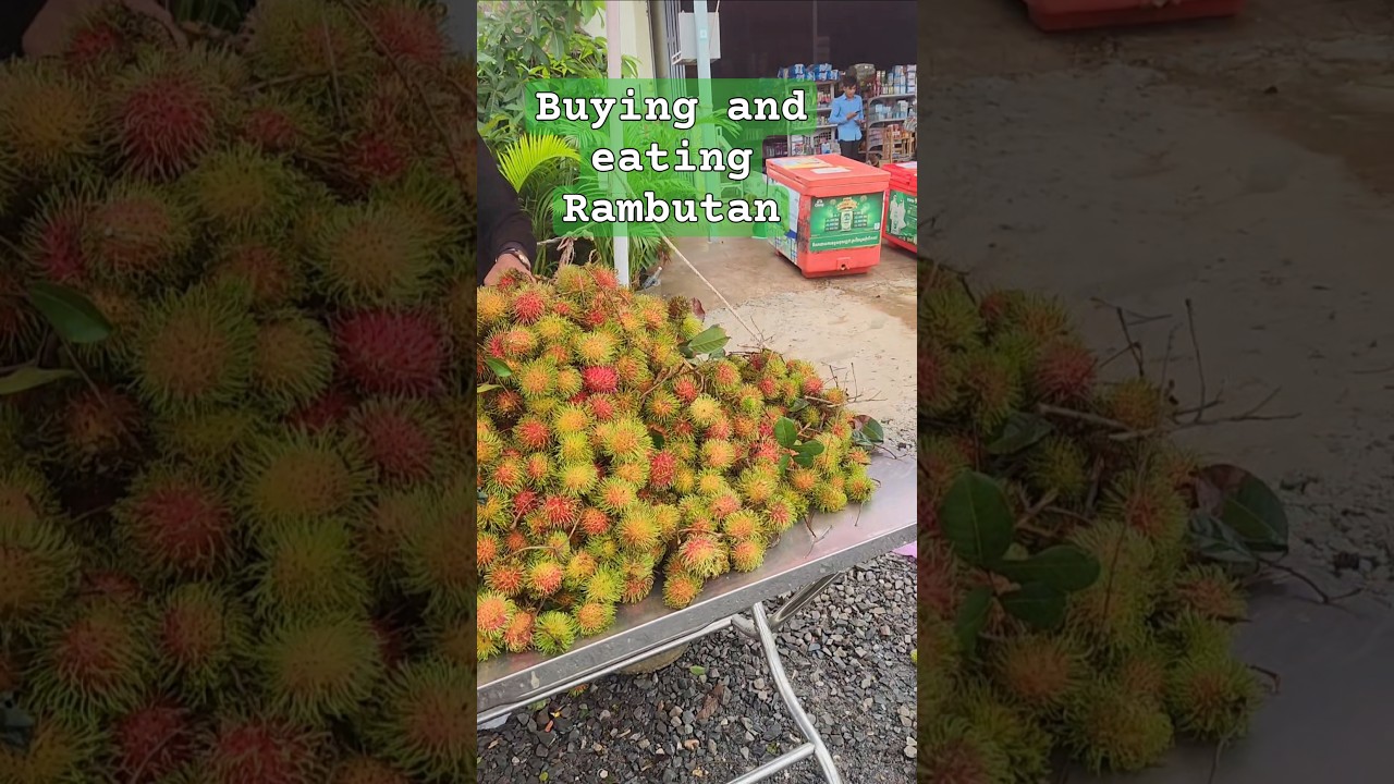 Fruits in Cambodia..delicious! #food #cambodia #travel #rambutan