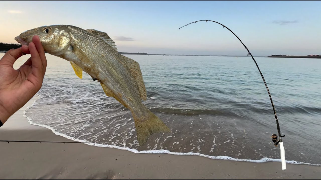 Fishing at one of Sydney's beaches for whiting!